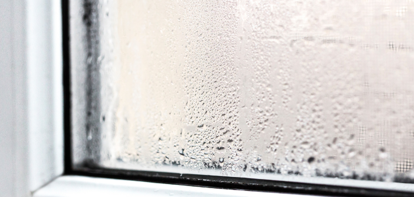 condensation sur une vitre