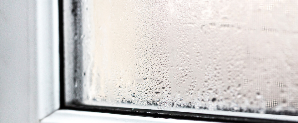 condensation sur une vitre