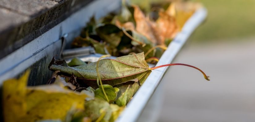 L'évacuation des eaux de pluie de sa maison