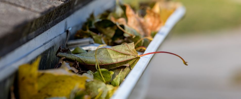 L'évacuation des eaux de pluie de sa maison