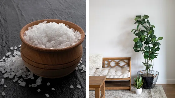 Agir contre l'humidité dans la chambre