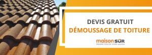 Expertise démoussage de toiture