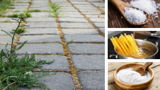 Désherbants naturels contre les mauvaises herbes