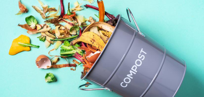 Quels déchets utiliser pour faire son compost