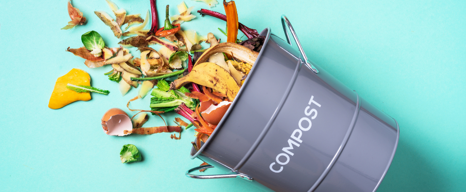 Quels déchets utiliser pour faire son compost