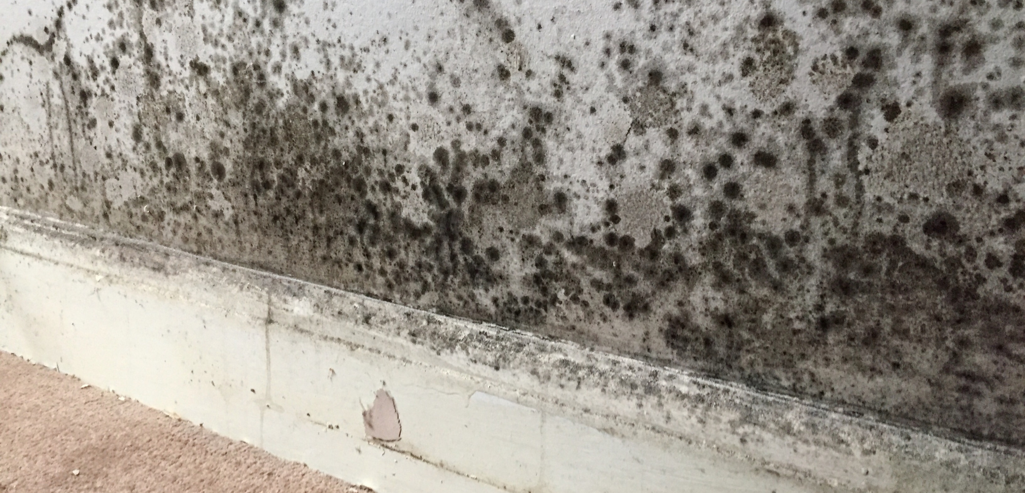Tout savoir sur les problèmes d’humidité sur les murs l’interview