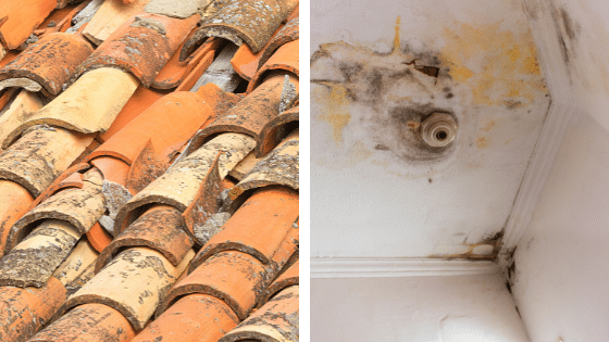 infiltration toiture maison