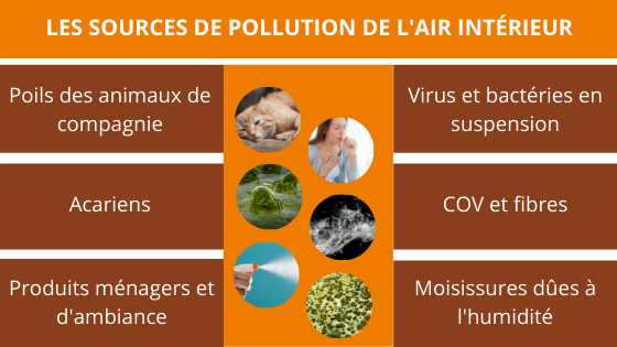 quelques exemples de sources de pollution de l'air interieur