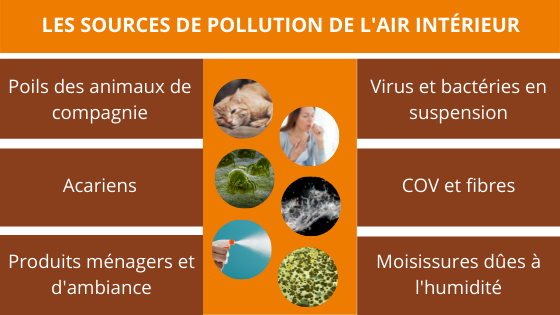 L'impact de la qualité de l'air intérieur sur la santé