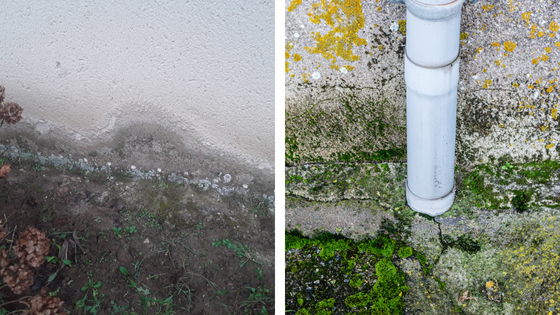 traces d'humidite a la base des murs exterieurs et presence de mousses