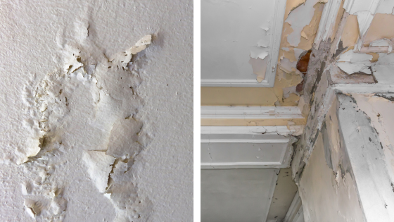 conquences humidite des murs sur votre maison