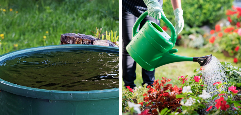 Recuperer l'eau de pluie pour arroser les plantes et les fleurs du jardin