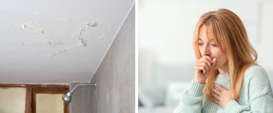 Conséquences salpêtre sur la maison et la santé - MaisonSûr
