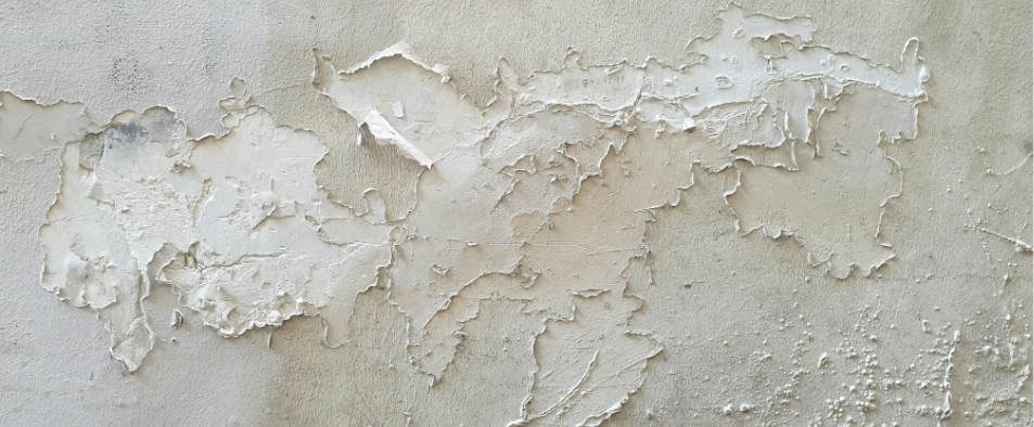 Mur affecte par l humidite et le salpetre
