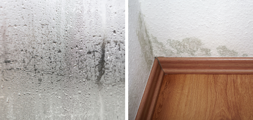 Gouttelettes de condensation sur une vitre et traces d humidite a la base d un mur