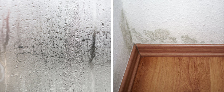 Gouttelettes de condensation sur une vitre et traces d humidite a la base d un mur