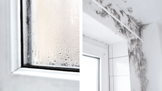 Condensation sur une vitre et moisissure dans un angle de mur haut