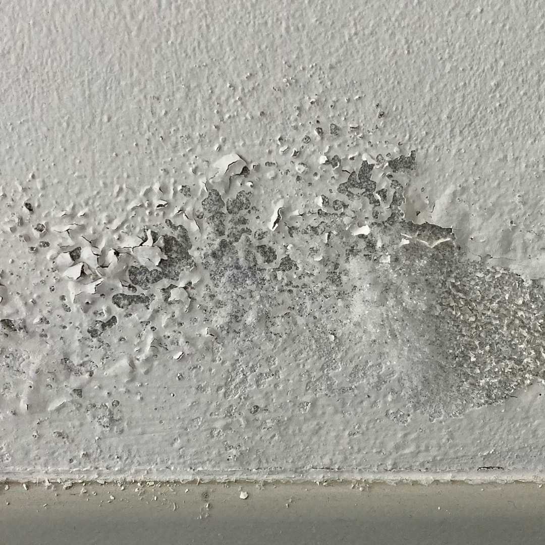Photos génériques humidité