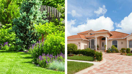 Les extérieurs de la maison