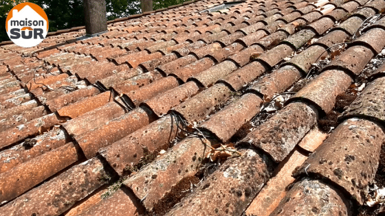 Nettoyage et démoussage de toiture