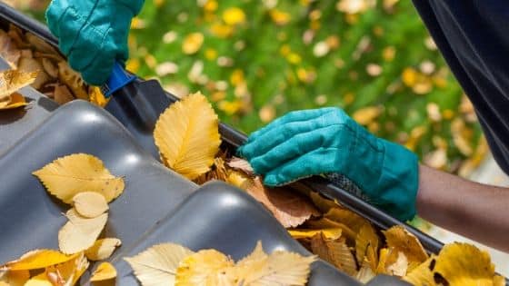 Bien nettoyer les gouttières de sa toiture Nettoyage gouttière