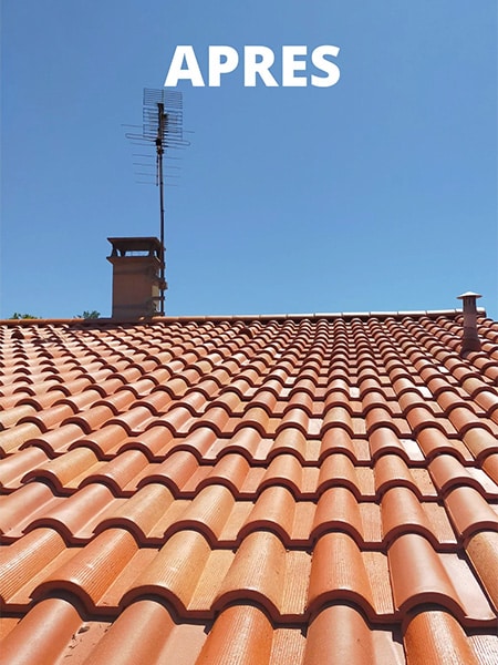 nettoyez votre toiture pour preserver votre maison durablement