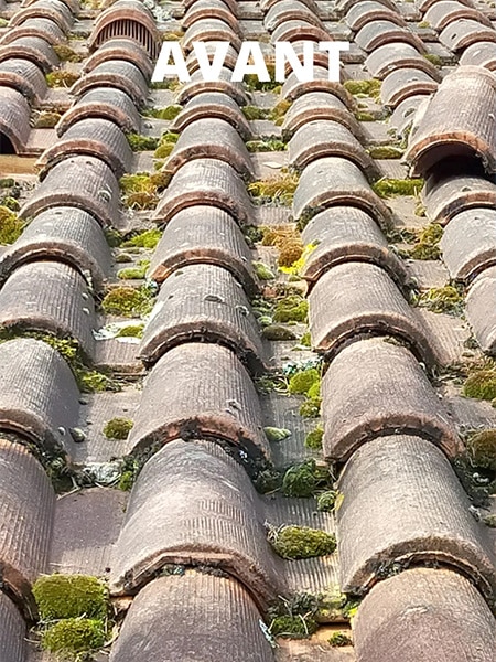 pourquoi nettoyer sa toiture