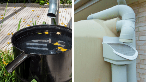 Récupérateur d'eau de pluie