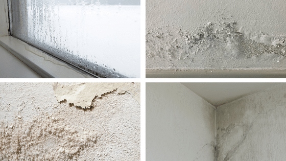 differents signes et traces d'humidite