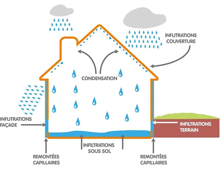 agir contre l humidite maisonsur expert en traitement durable