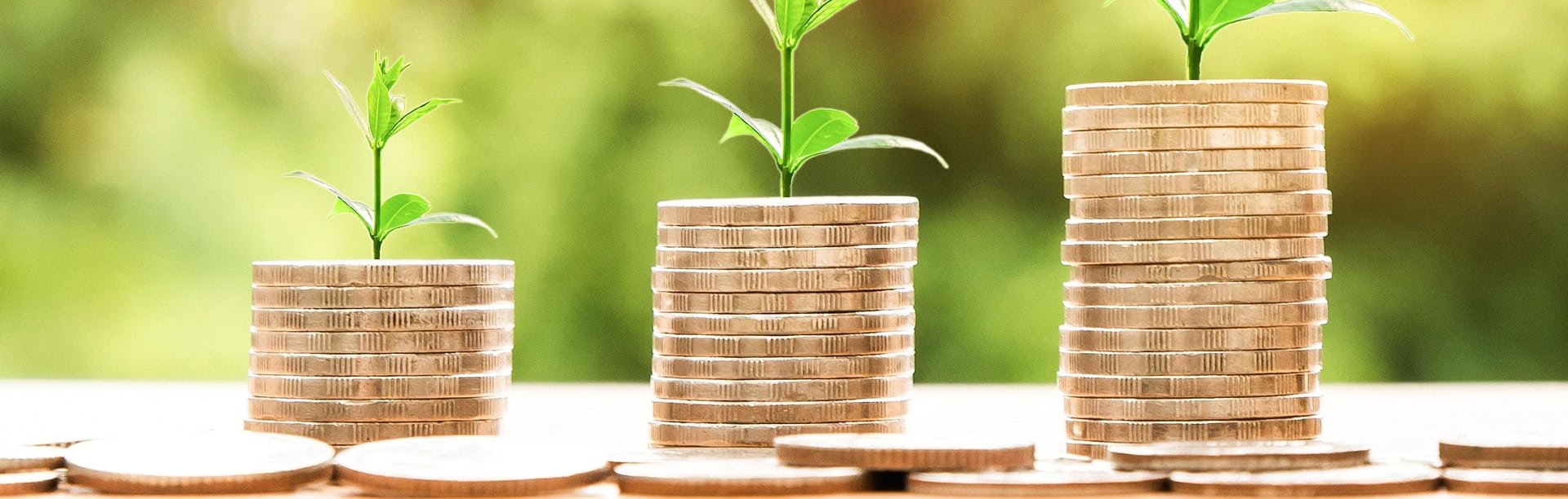 telechargez le guide des aides subventions 2023