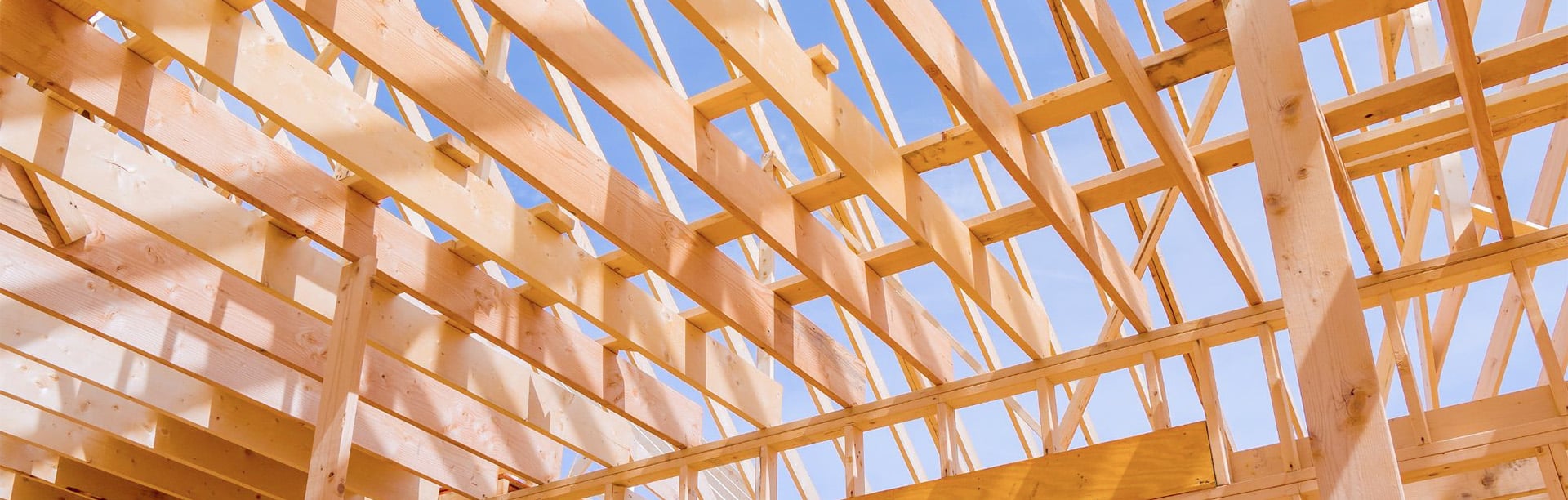 traitement charpente