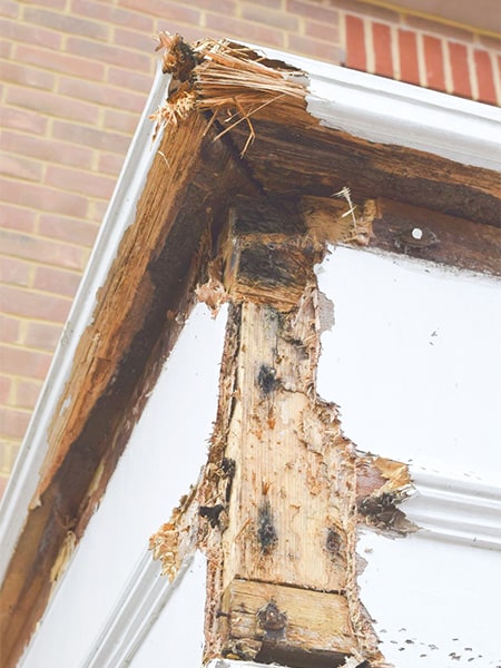 traitement de charpente preservez la structure de votre maison