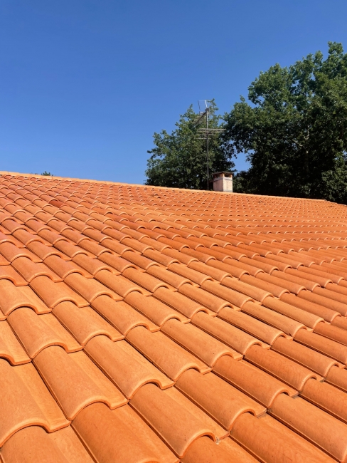 demoussage toiture protegez votre toit des mousses et infiltrations