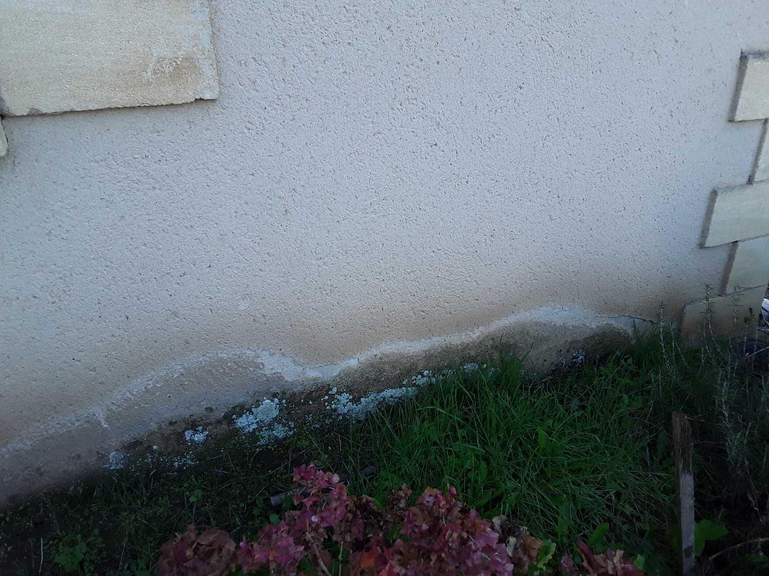 dites stop a l humidite ascensionnelle sur vos facades