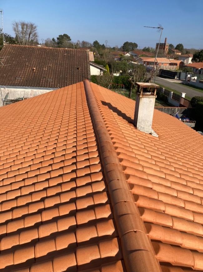 eliminer les mousses et impuretes en profondeur