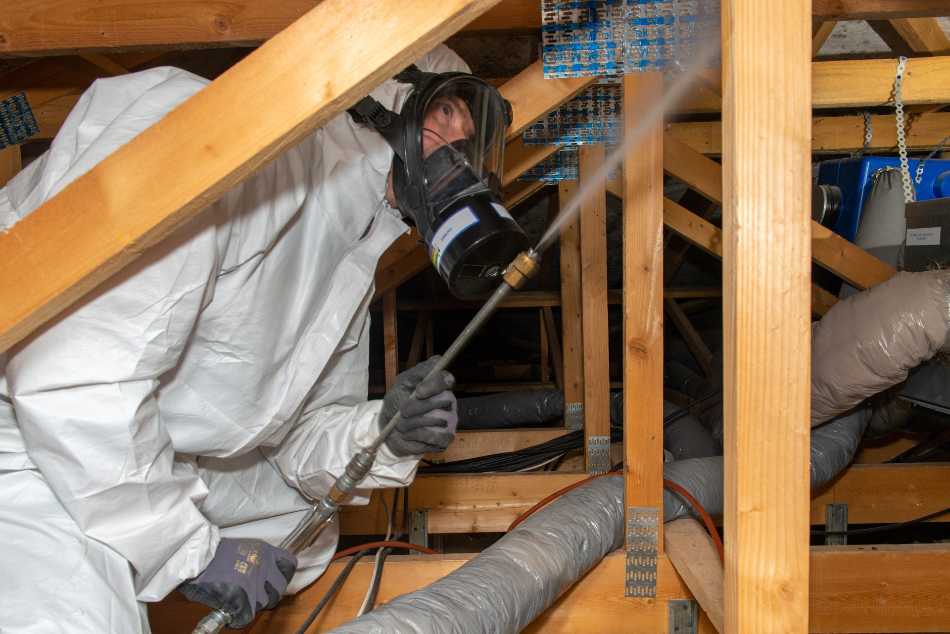 traitement charpente