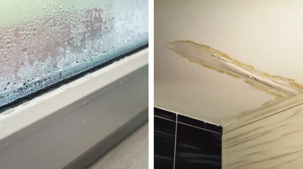 Les signes d'une infiltration et de condensation