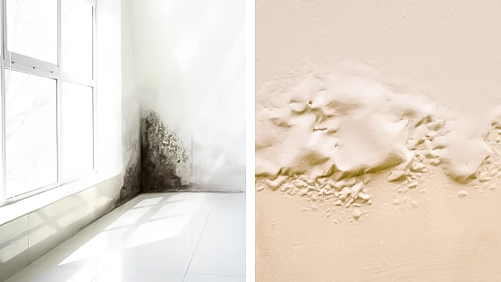 les degats de la condensation