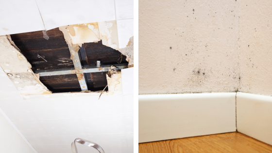 humidité suite à un dégât des eaux