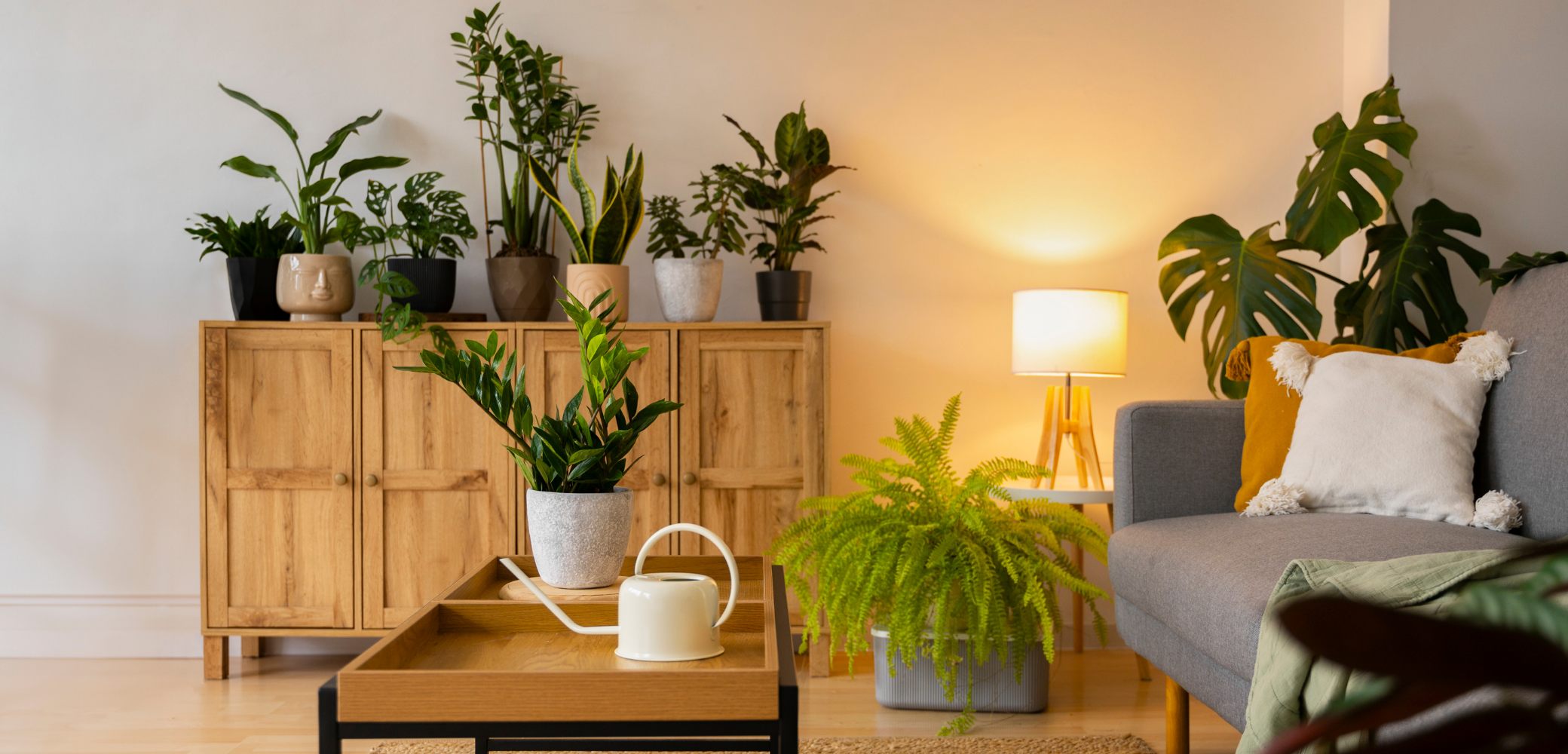 Idées reçues pour améliorer la qualité de l'air de votre maison